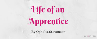 A Digital Marketing Apprenticeship Insight, by Ophelia Stevenson