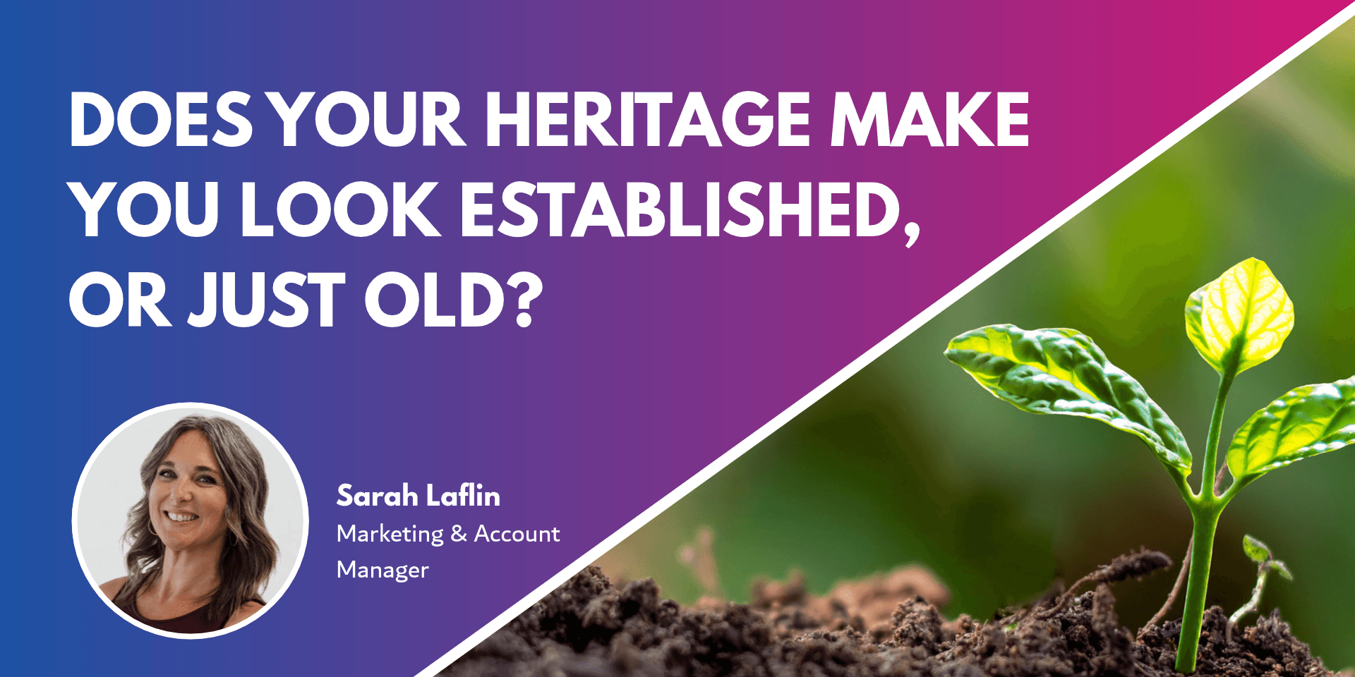 Using your firm’s history as a marketing tool_ how law firms can celebrate their heritage